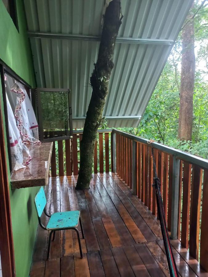 Cabana Escondida Rio Celeste San Rafael De Guatuso Kültér fotó
